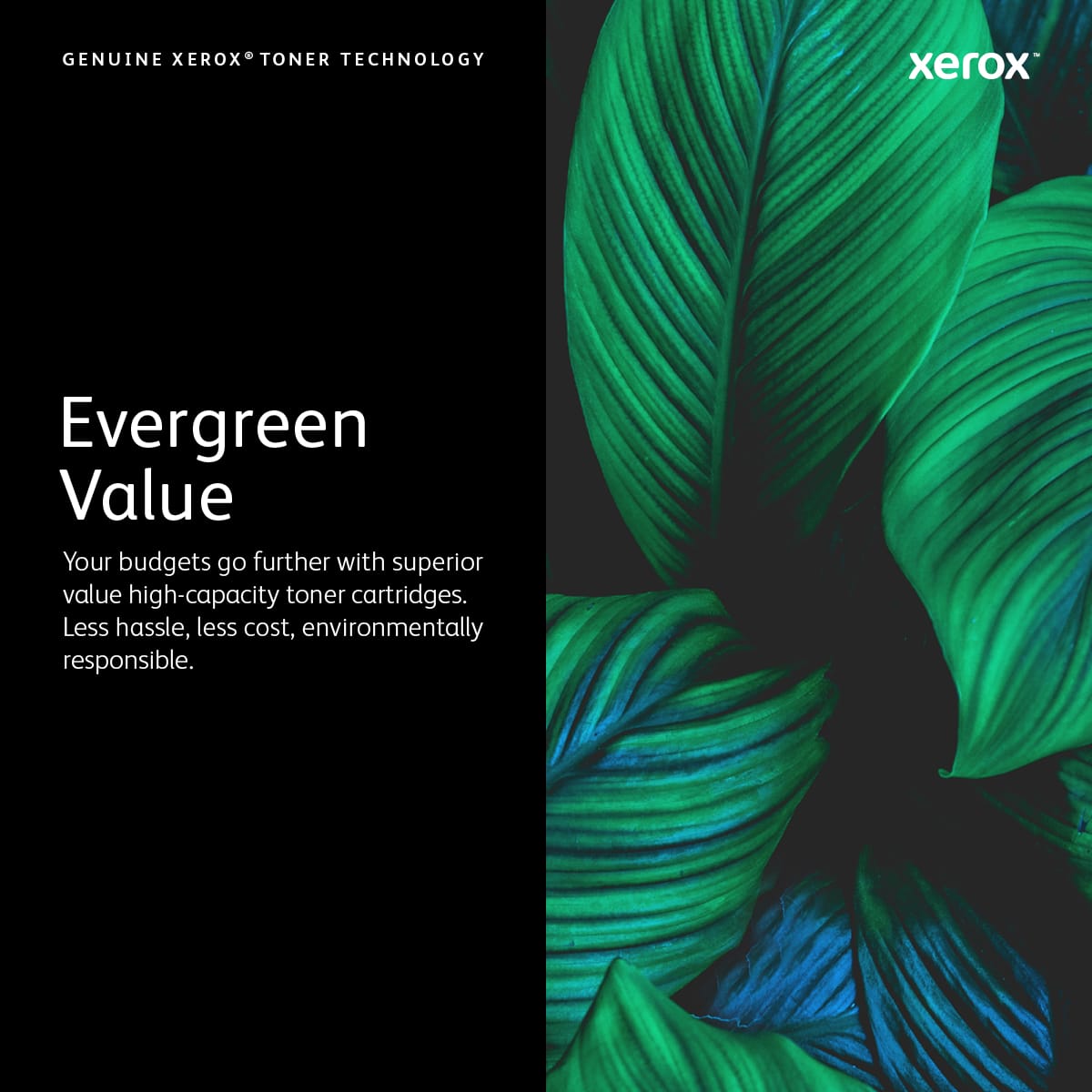 Xerox 006R04386 tonerpatron 1 stk Original - Billede 6