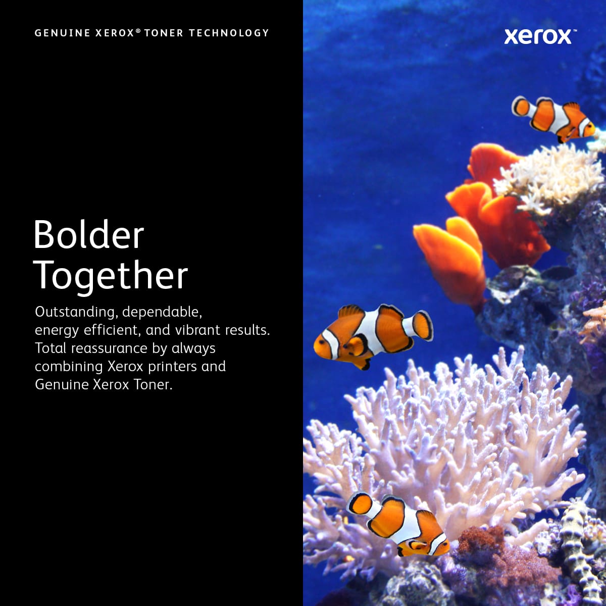 Xerox 006R04386 tonerpatron 1 stk Original - Billede 11