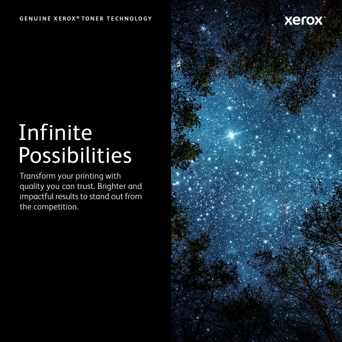 Xerox 106R03737 tonerpatron 1 stk Original Sort - Billede 2