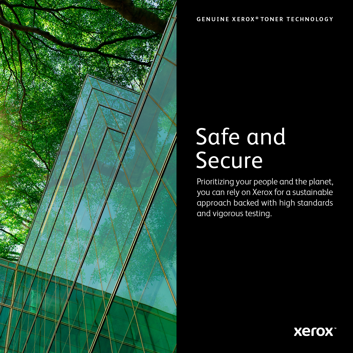 Xerox 106R03501 tonerpatron 1 stk Original - Billede 8