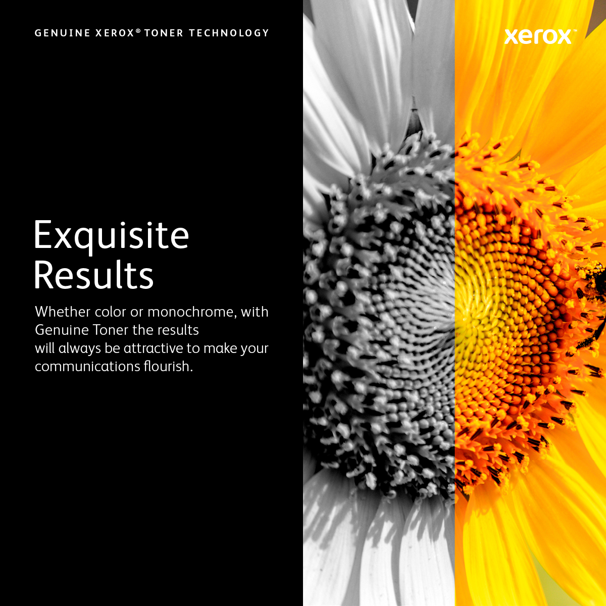 Xerox 106R03501 tonerpatron 1 stk Original - Billede 7