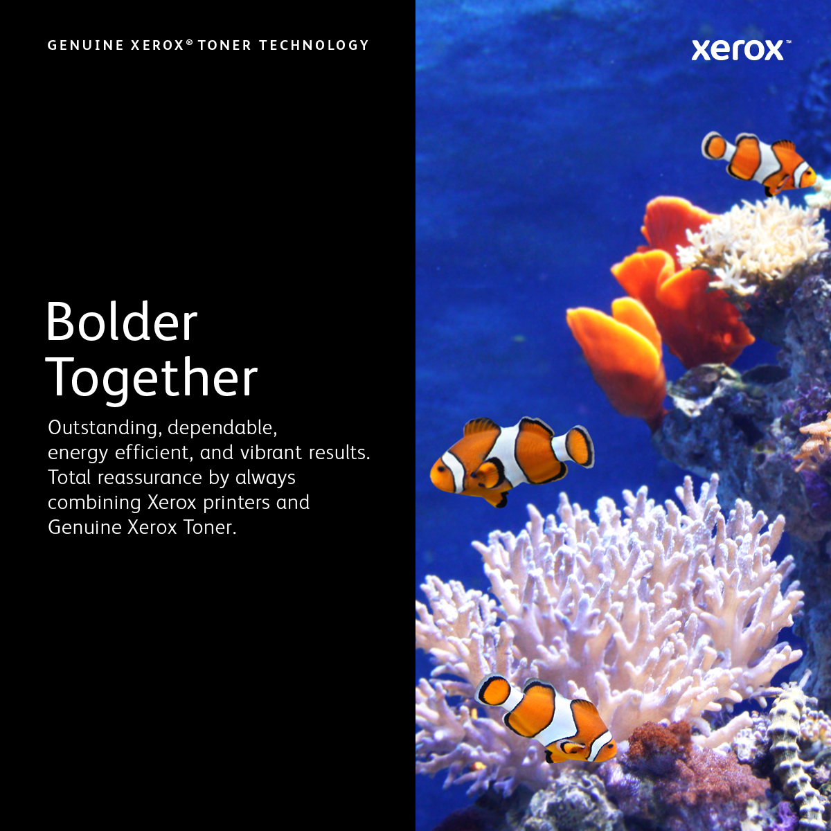 Xerox 106R03501 tonerpatron 1 stk Original - Billede 11