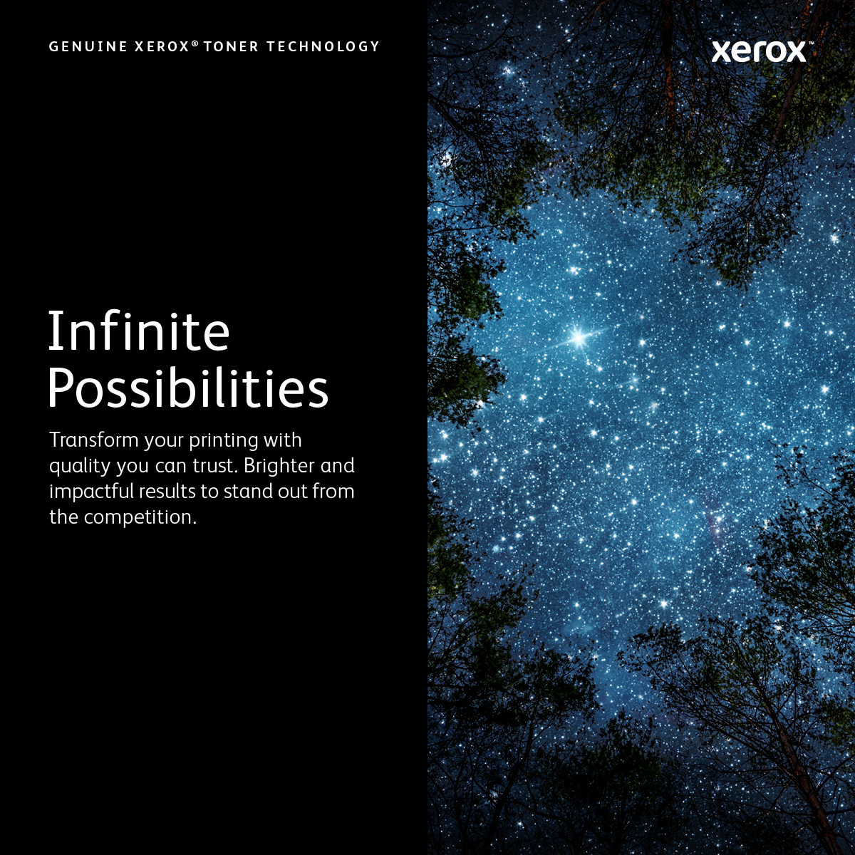 Xerox 106R03501 tonerpatron 1 stk Original - Billede 2