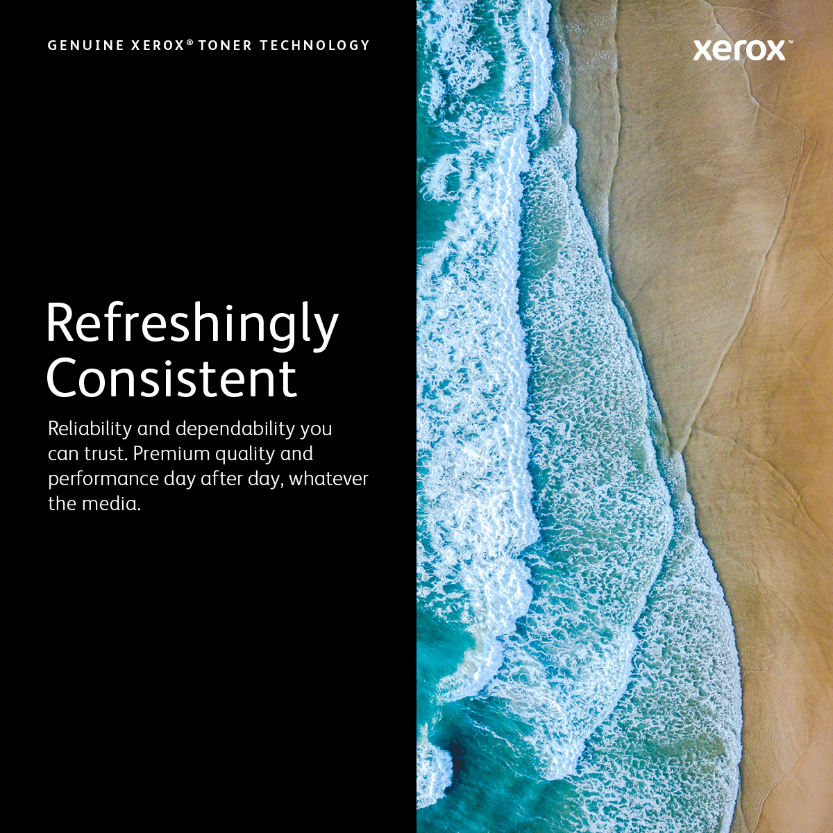 Xerox 106R03501 tonerpatron 1 stk Original - Billede 4