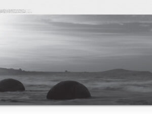 Samsung CLT-K404S Black Original Toner Cartridge tonerpatron 1 stk