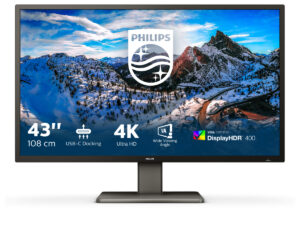 Philips P Line 439P1/00 LED display 108 cm (42.5") 3840 x 2160 pixel 4K Ultra HD Sort