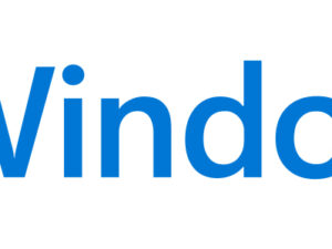 Microsoft Windows 11 Pro 1 licens(er)
